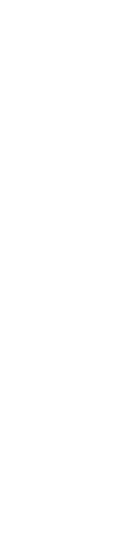 畑しだれ桜
