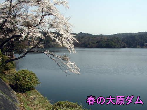 t̑匴_