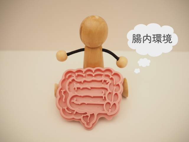 腸内環境イメージ