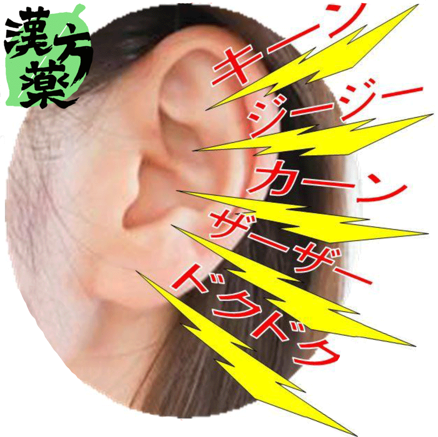 耳鳴りの種類