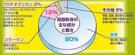 軟骨の成分表