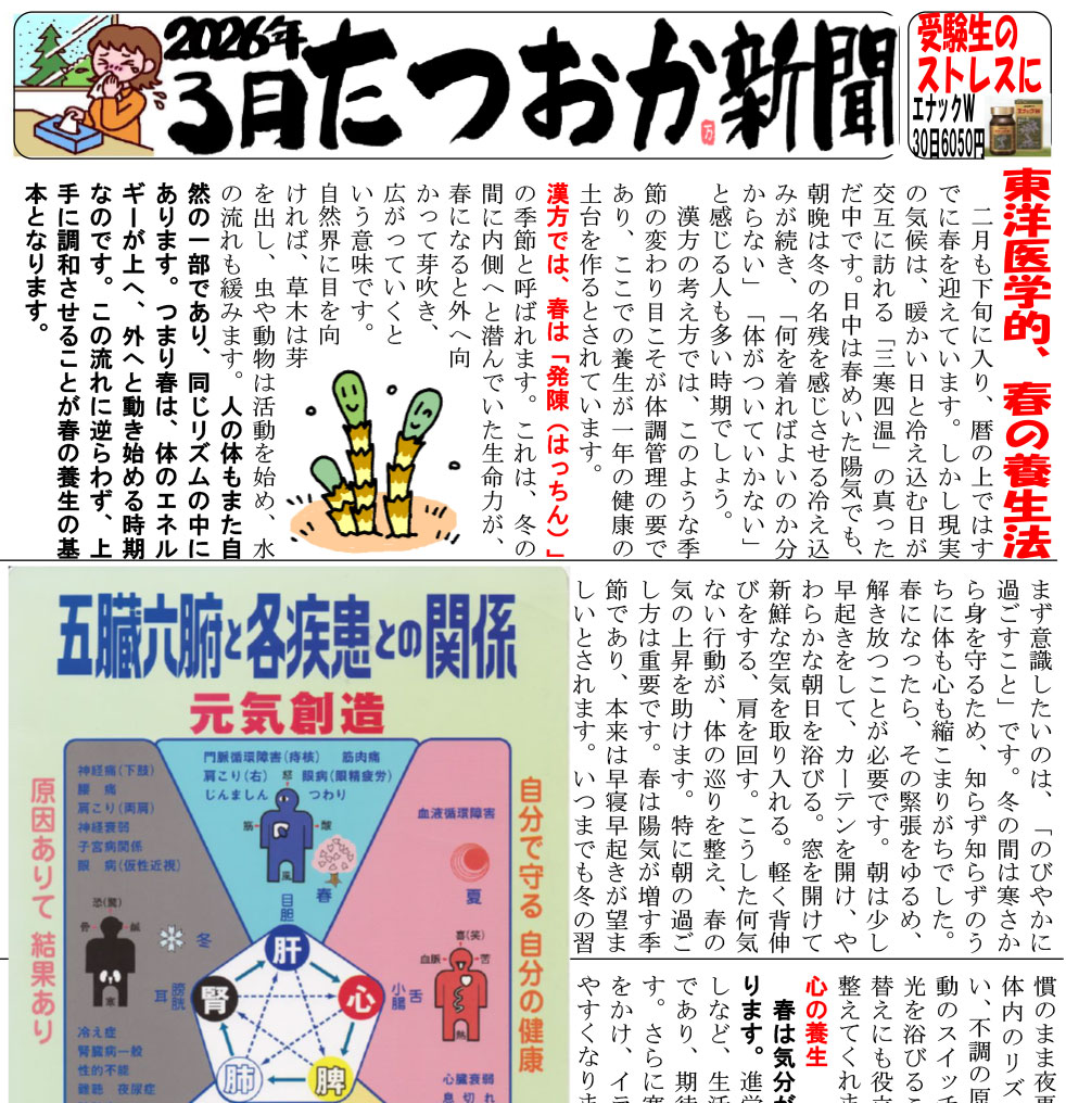 たつおか新聞2026年3月号