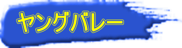 ヤングバレー 