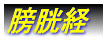 経穴・ツボ一覧 